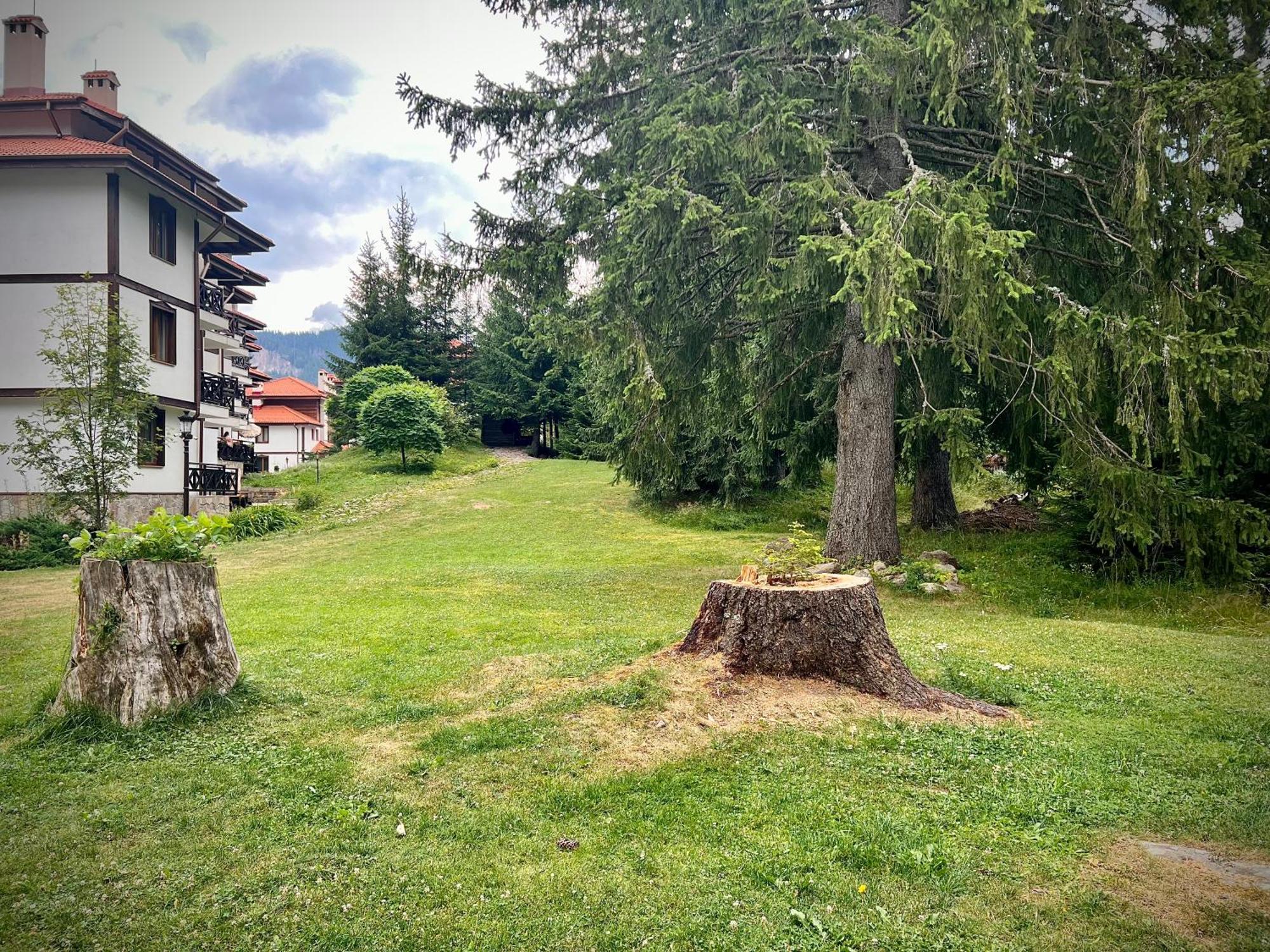 Relax Aпартаменти, Смолянски Езера, Вила Венера, К-С Маунтин Лейк Esterno foto