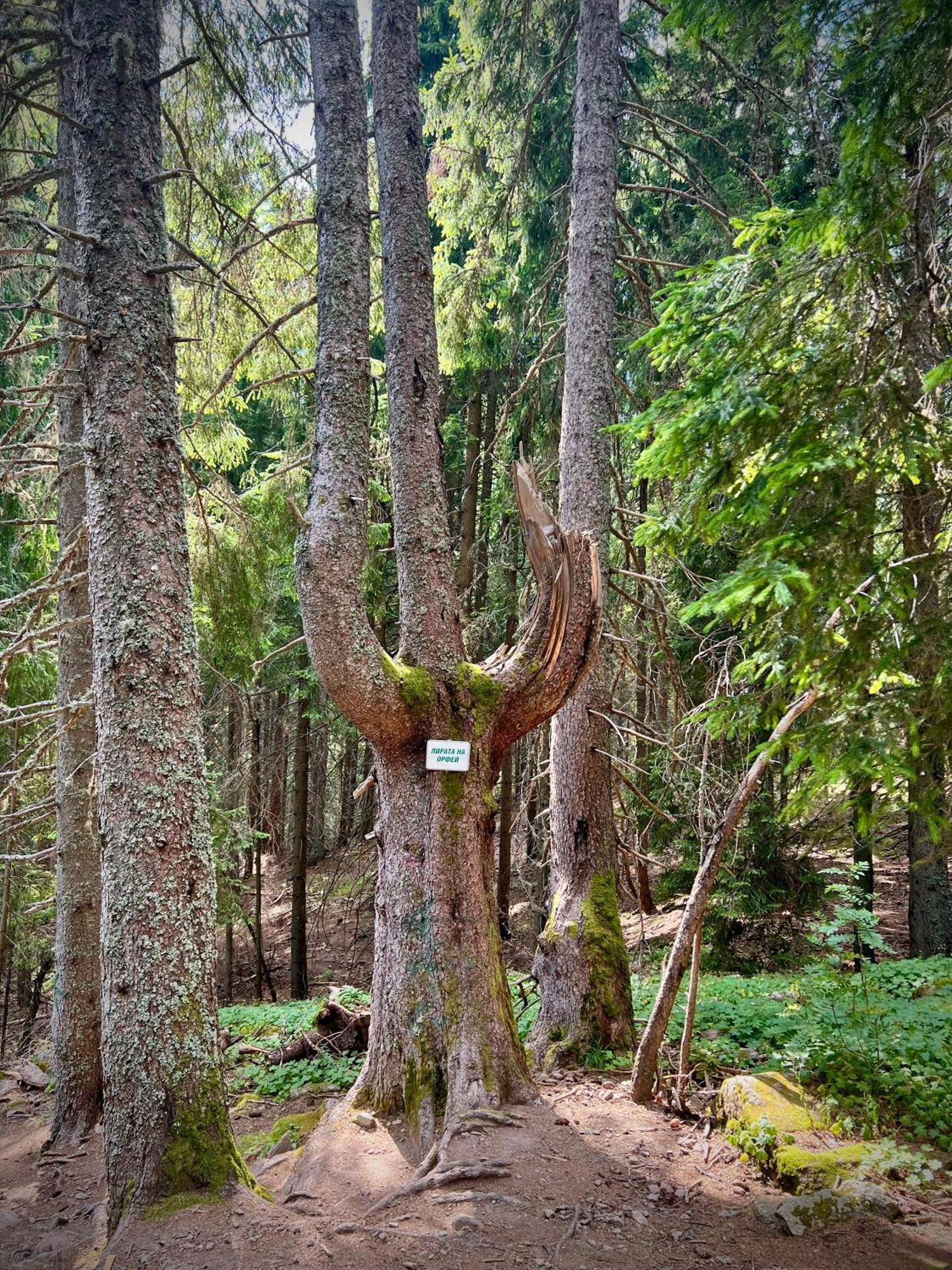 Relax Aпартаменти, Смолянски Езера, Вила Венера, К-С Маунтин Лейк Esterno foto