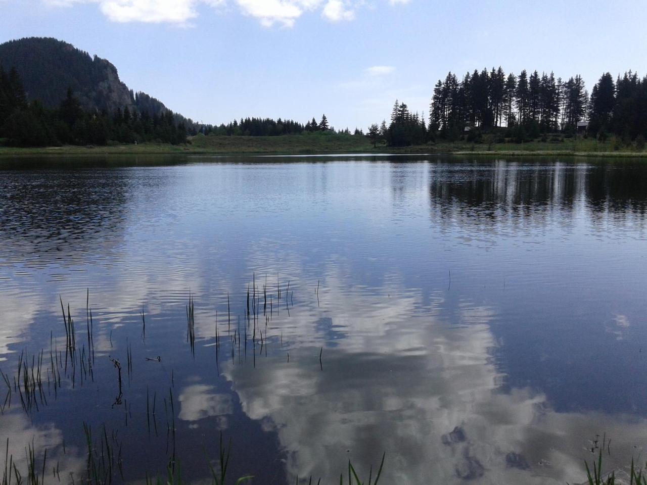 Relax Aпартаменти, Смолянски Езера, Вила Венера, К-С Маунтин Лейк Esterno foto